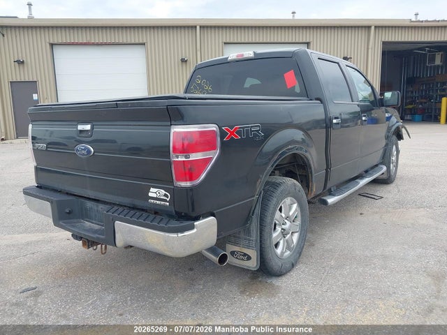 20265269 :رقم المزاد ، 1FTFW1EF6DKD71203 vin ، 2013 Ford F150 Fx4 Supercrew مزاد بيع