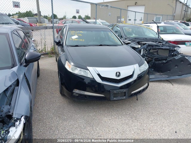 20265370 :رقم المزاد ، 19UUA8F51AA800058 vin ، 2010 Acura Tl مزاد بيع