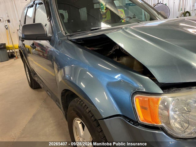 Продаж на аукціоні авто 2010 Ford Escape Xlt, vin: 1FMCU9D7XAKD23020, номер лоту: 20265407