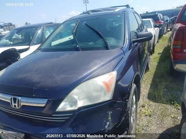 2007 Honda Cr-v Ex მანქანა იყიდება აუქციონზე, vin: 5J6RE48547L810265, აუქციონის ნომერი: 20265513