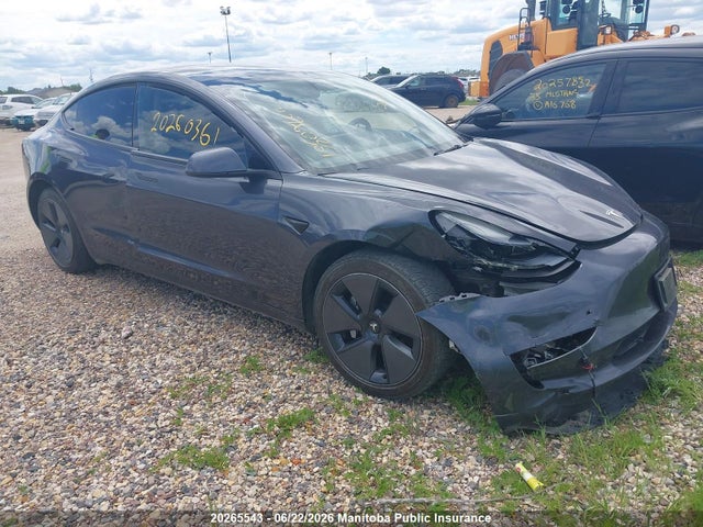 Продажа на аукционе авто 2023 Tesla Model 3 Standard Range Plus 50, vin: LRW3E1FA3PC921719, номер лота: 20265543