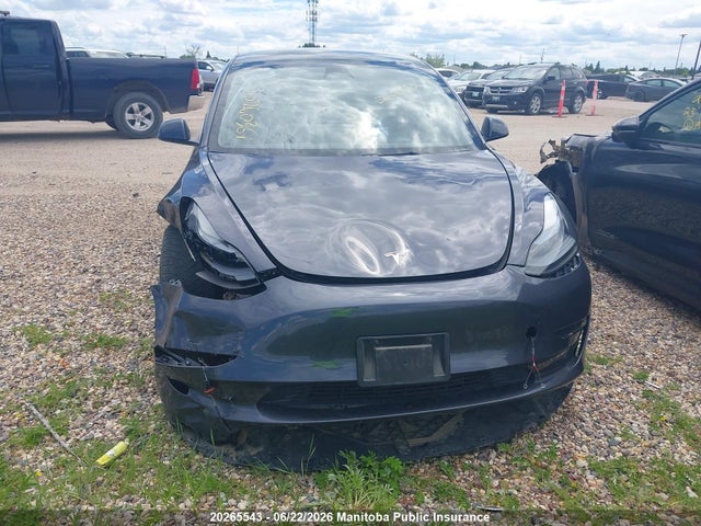 Продажа на аукционе авто 2023 Tesla Model 3 Standard Range Plus 50, vin: LRW3E1FA3PC921719, номер лота: 20265543