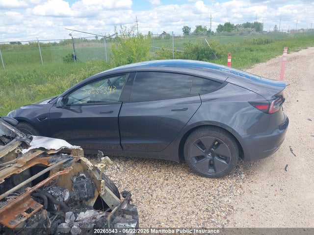 Продажа на аукционе авто 2023 Tesla Model 3 Standard Range Plus 50, vin: LRW3E1FA3PC921719, номер лота: 20265543