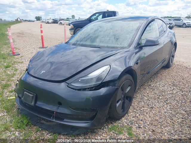 Продажа на аукционе авто 2023 Tesla Model 3 Standard Range Plus 50, vin: LRW3E1FA3PC921719, номер лота: 20265543