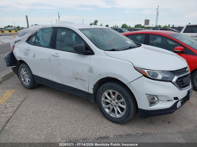 Chevrolet EQUINOX LS 2019 2GNAXSEV4K6128484 zdjęcie główne