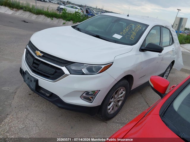 Chevrolet EQUINOX LS 2019 2GNAXSEV4K6128484 Image 2