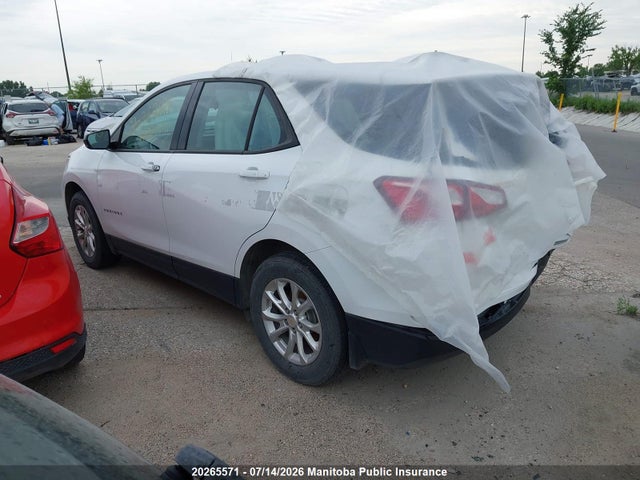 Chevrolet EQUINOX LS 2019 2GNAXSEV4K6128484 Image 3