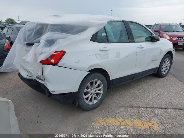 Продажа на аукционе авто 2019 Chevrolet Equinox Ls, vin: 2GNAXSEV4K6128484, номер лота: 20265571