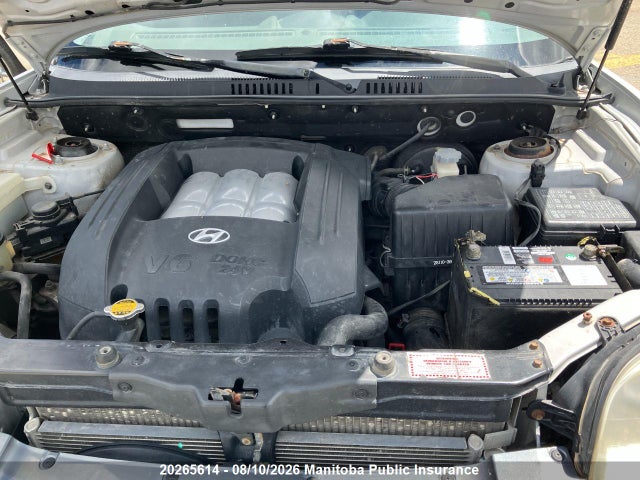 20265614 :رقم المزاد ، KM8SB73D24U748348 vin ، 2004 Hyundai Santa Fe Gls مزاد بيع
