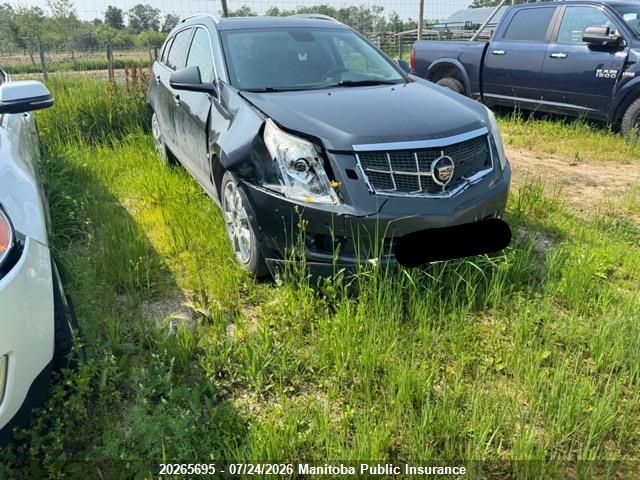 Aukcja sprzedaży 2010 Cadillac Srx V6, vin: 3GYFNEEY1AS520039, numer aukcji: 20265695