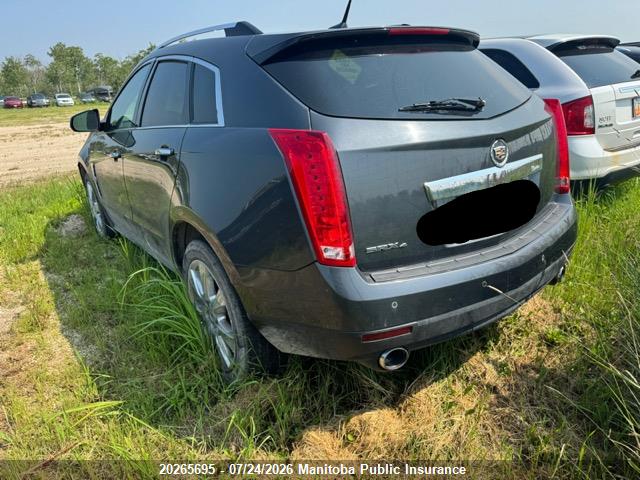 Aukcja sprzedaży 2010 Cadillac Srx V6, vin: 3GYFNEEY1AS520039, numer aukcji: 20265695