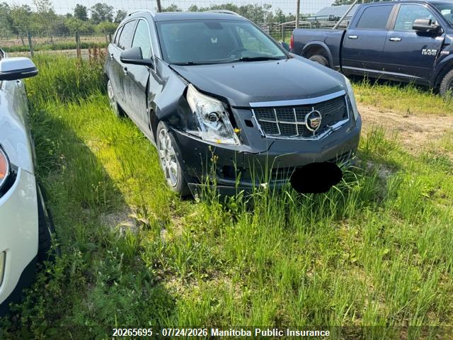 Aukcja sprzedaży 2010 Cadillac Srx V6, vin: 3GYFNEEY1AS520039, numer aukcji: 20265695