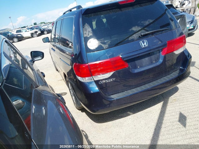 20265811 :رقم المزاد ، 5FNRL38619B501261 vin ، 2009 Honda Odyssey Ex-l مزاد بيع