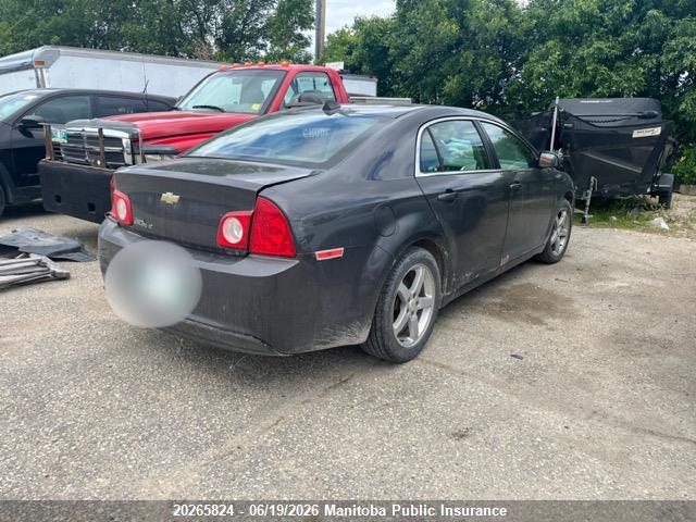 20265824 :رقم المزاد ، 1G1ZB5EU2CF374887 vin ، 2012 Chevrolet Malibu Ls مزاد بيع