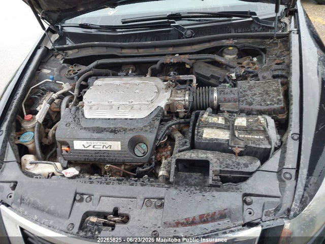 20265825 :رقم المزاد ، 1HGCP3F89AA801028 vin ، 2010 Honda Accord Ex-l V6 مزاد بيع