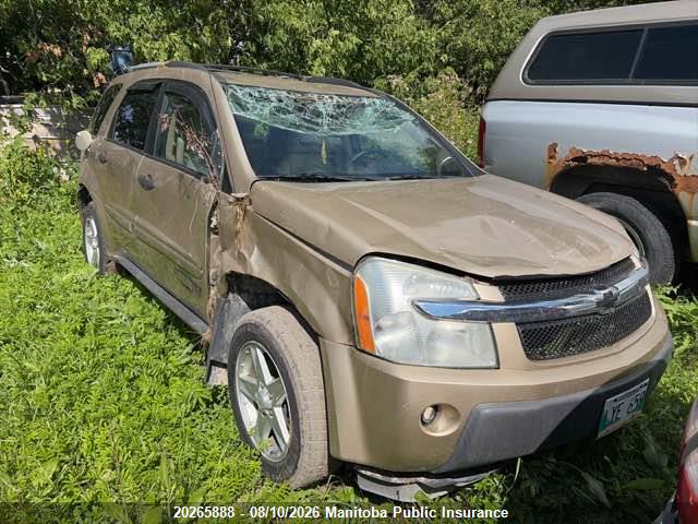 2005 Chevrolet Equinox Ls V6 მანქანა იყიდება აუქციონზე, vin: 2CNDL13F956041719, აუქციონის ნომერი: 20265888