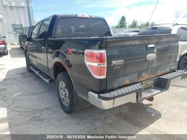 Продаж на аукціоні авто 2012 Ford F150 Xlt Supercrew, vin: 1FTFW1EF9CFA31535, номер лоту: 20265918