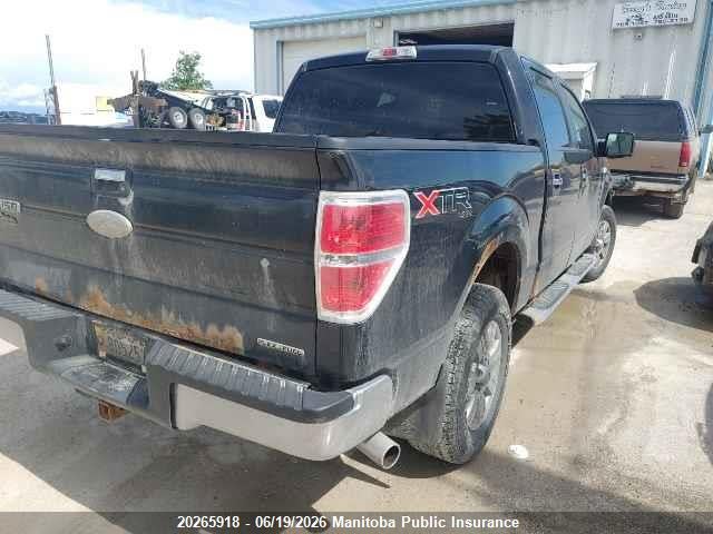Продаж на аукціоні авто 2012 Ford F150 Xlt Supercrew, vin: 1FTFW1EF9CFA31535, номер лоту: 20265918