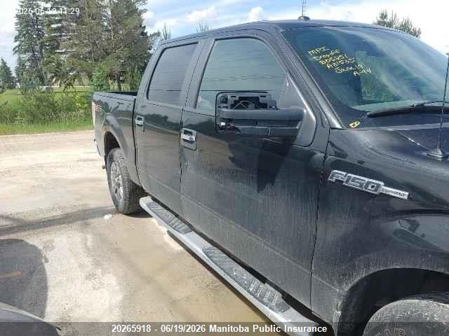 Продаж на аукціоні авто 2012 Ford F150 Xlt Supercrew, vin: 1FTFW1EF9CFA31535, номер лоту: 20265918