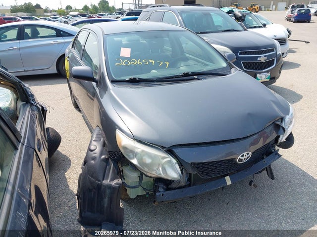 2009 Toyota Corolla Ce მანქანა იყიდება აუქციონზე, vin: 2T1BU40E39C165026, აუქციონის ნომერი: 20265979
