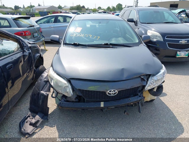 2009 Toyota Corolla Ce მანქანა იყიდება აუქციონზე, vin: 2T1BU40E39C165026, აუქციონის ნომერი: 20265979