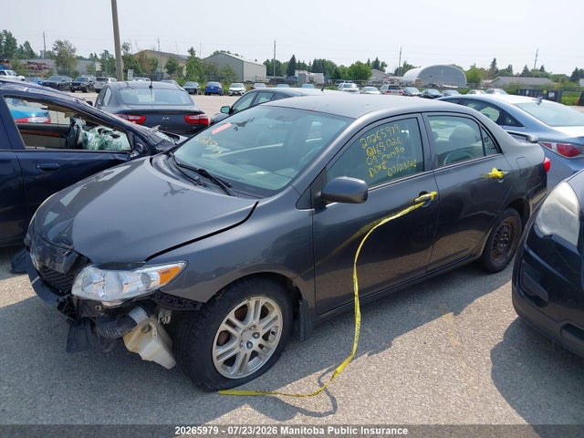 2009 Toyota Corolla Ce მანქანა იყიდება აუქციონზე, vin: 2T1BU40E39C165026, აუქციონის ნომერი: 20265979