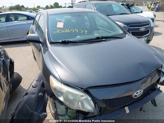 2009 Toyota Corolla Ce მანქანა იყიდება აუქციონზე, vin: 2T1BU40E39C165026, აუქციონის ნომერი: 20265979
