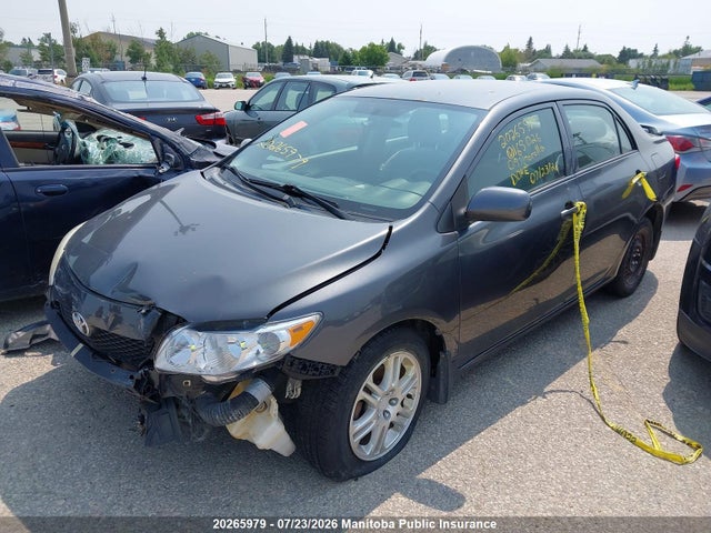 2009 Toyota Corolla Ce მანქანა იყიდება აუქციონზე, vin: 2T1BU40E39C165026, აუქციონის ნომერი: 20265979