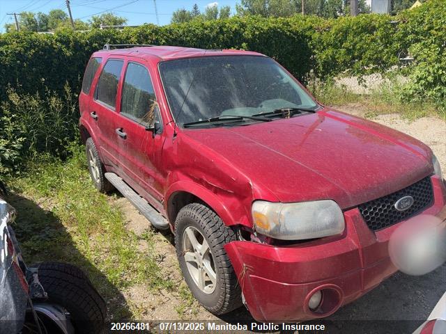 2007 Ford Escape Xlt V6 მანქანა იყიდება აუქციონზე, vin: 1FMYU93197KA37087, აუქციონის ნომერი: 20266481