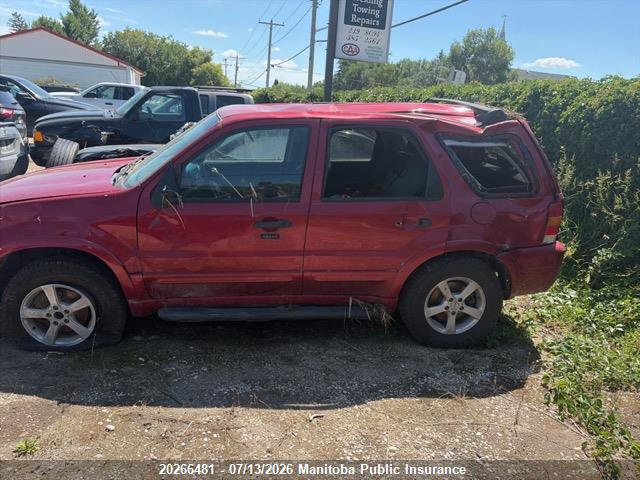Продаж на аукціоні авто 2007 Ford Escape Xlt V6, vin: 1FMYU93197KA37087, номер лоту: 20266481