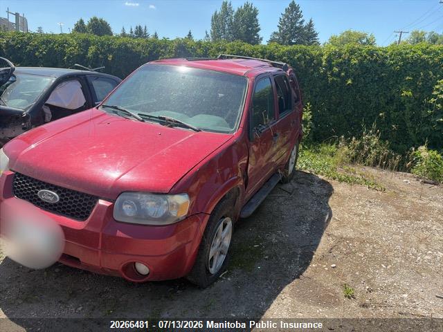 Продаж на аукціоні авто 2007 Ford Escape Xlt V6, vin: 1FMYU93197KA37087, номер лоту: 20266481
