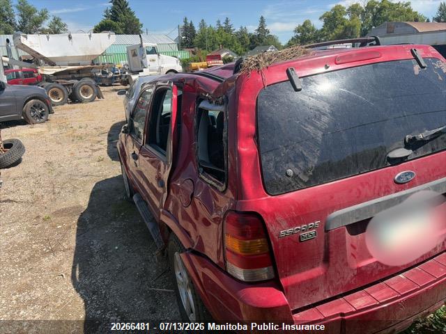 Продаж на аукціоні авто 2007 Ford Escape Xlt V6, vin: 1FMYU93197KA37087, номер лоту: 20266481
