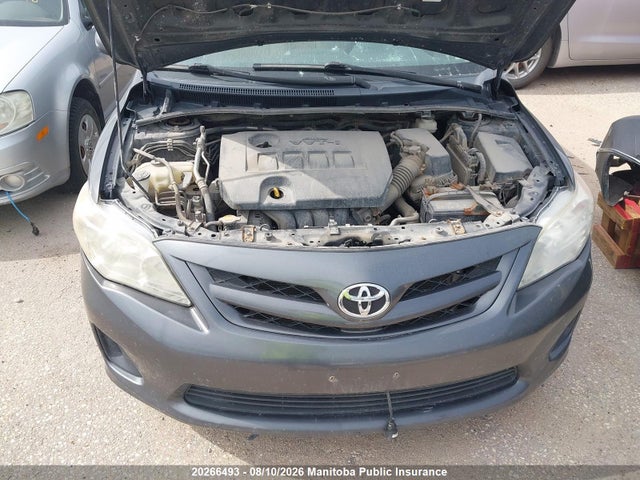 20266493 :رقم المزاد ، 2T1BU4EE2BC541505 vin ، 2011 Toyota Corolla Le مزاد بيع
