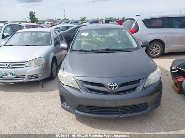 20266493 :رقم المزاد ، 2T1BU4EE2BC541505 vin ، 2011 Toyota Corolla Le مزاد بيع