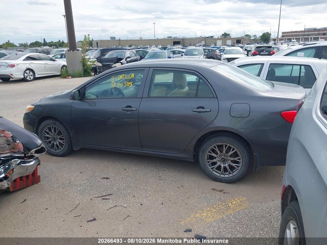 20266493 :رقم المزاد ، 2T1BU4EE2BC541505 vin ، 2011 Toyota Corolla Le مزاد بيع