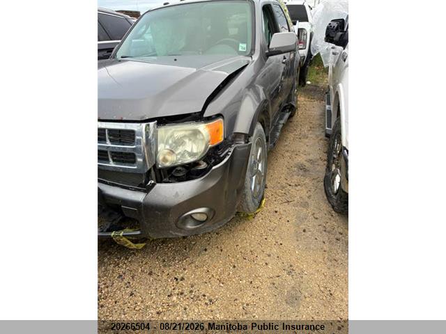 Продажа на аукционе авто 2010 Ford Escape Limited V6, vin: 1FMCU9EG8AKD14153, номер лота: 20266504
