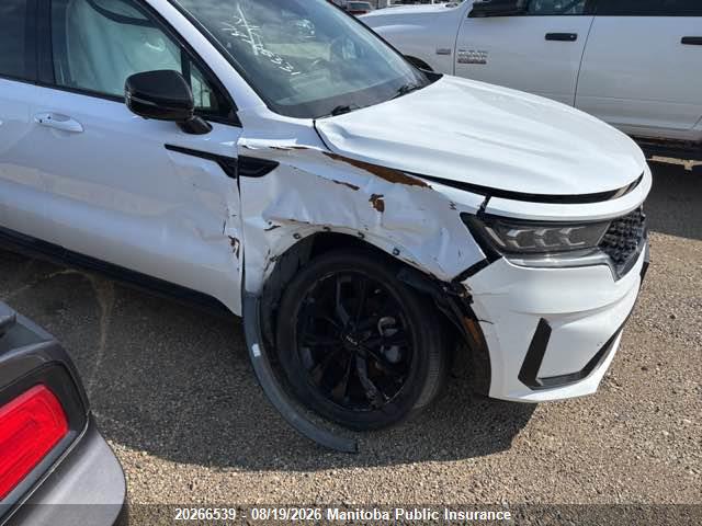 KIA Sorento Sx/sxp 2023 5XYRKDLF6PG223690 Image 6
