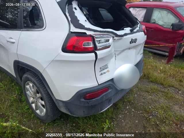 Jeep Cherokee Limited 2014 1C4PJMDS5EW306095 Image 3