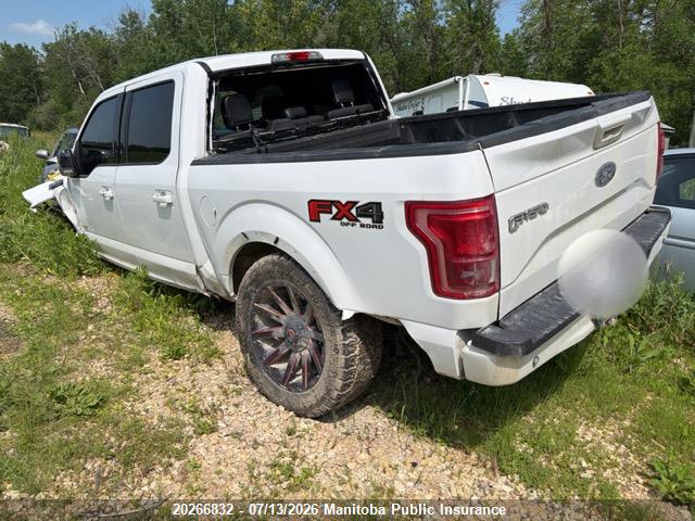 Ford F-Series 2015 1FTEW1EG9FKE26217 Image 3