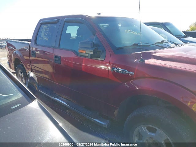 Продаж на аукціоні авто 2013 Ford F150 Xlt Supercrew, vin: 1FTFW1EF0DFC90352, номер лоту: 20266950