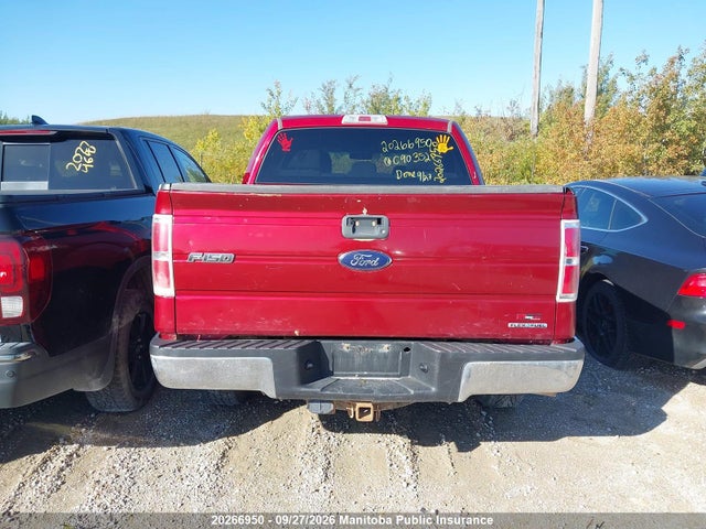 Продаж на аукціоні авто 2013 Ford F150 Xlt Supercrew, vin: 1FTFW1EF0DFC90352, номер лоту: 20266950