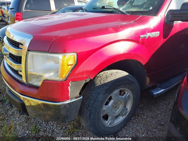 Продаж на аукціоні авто 2013 Ford F150 Xlt Supercrew, vin: 1FTFW1EF0DFC90352, номер лоту: 20266950