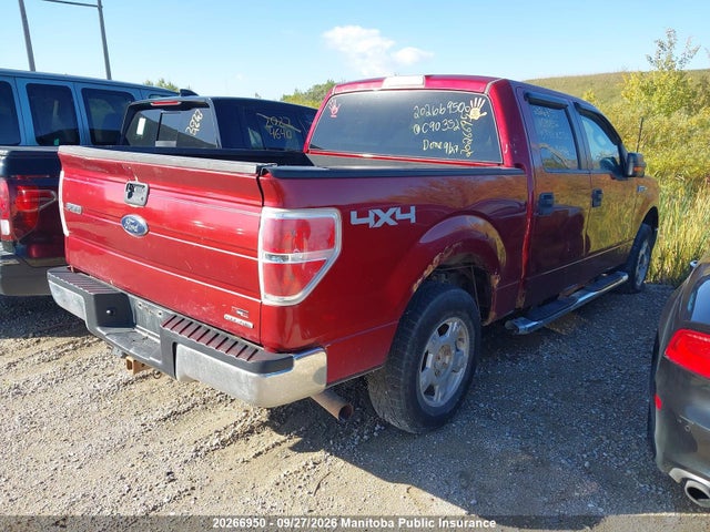 Продаж на аукціоні авто 2013 Ford F150 Xlt Supercrew, vin: 1FTFW1EF0DFC90352, номер лоту: 20266950