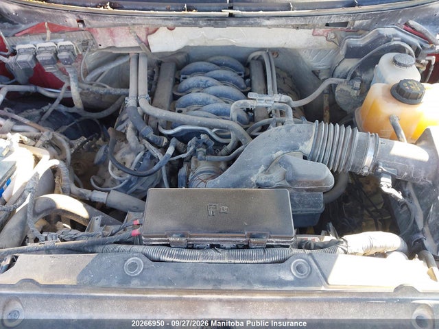 Продаж на аукціоні авто 2013 Ford F150 Xlt Supercrew, vin: 1FTFW1EF0DFC90352, номер лоту: 20266950