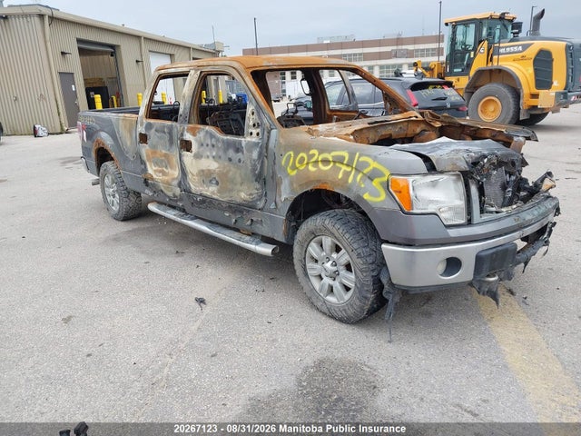 Продаж на аукціоні авто 2012 Ford F150 Xlt Supercrew, vin: 1FTFW1EF6CFB89265, номер лоту: 20267123