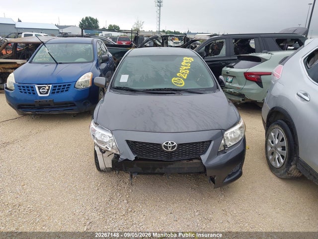 20267148 :رقم المزاد ، 2T1BU4EE6AC248883 vin ، 2010 Toyota Corolla Ce مزاد بيع