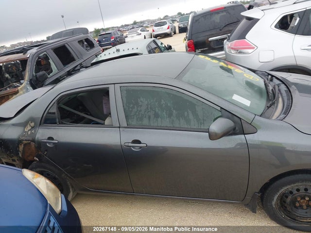 20267148 :رقم المزاد ، 2T1BU4EE6AC248883 vin ، 2010 Toyota Corolla Ce مزاد بيع