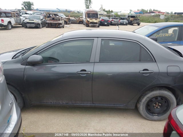 20267148 :رقم المزاد ، 2T1BU4EE6AC248883 vin ، 2010 Toyota Corolla Ce مزاد بيع