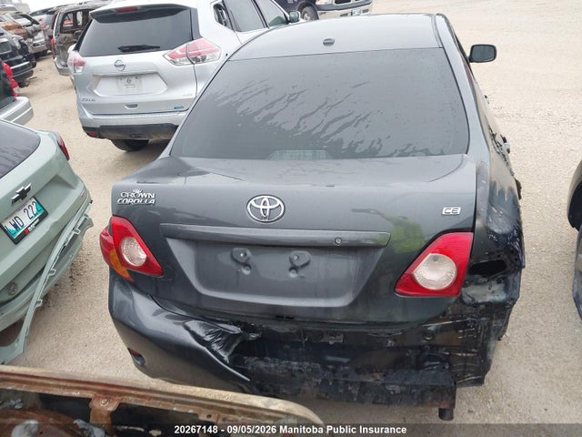 20267148 :رقم المزاد ، 2T1BU4EE6AC248883 vin ، 2010 Toyota Corolla Ce مزاد بيع