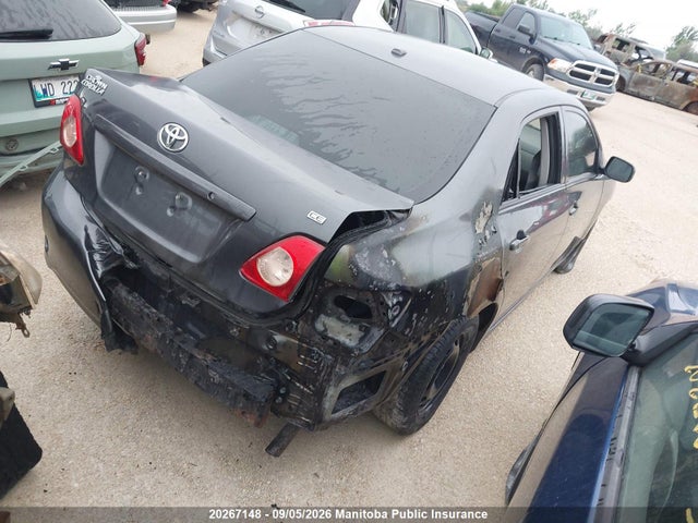 20267148 :رقم المزاد ، 2T1BU4EE6AC248883 vin ، 2010 Toyota Corolla Ce مزاد بيع